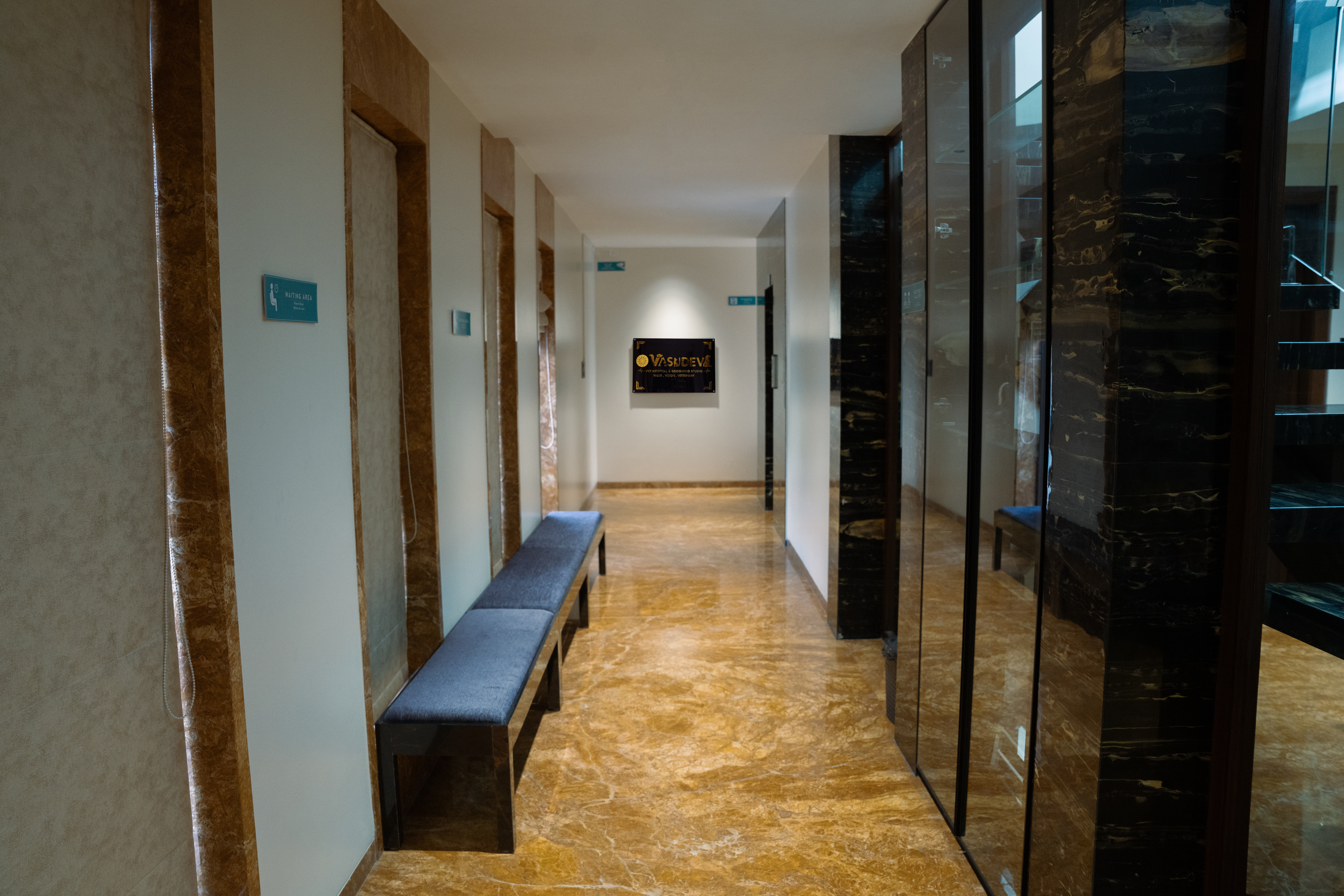 Modern veterinary hospital waiting area